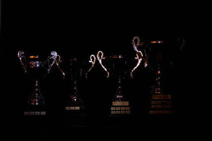 Dvanáctý zápas - leden 2012